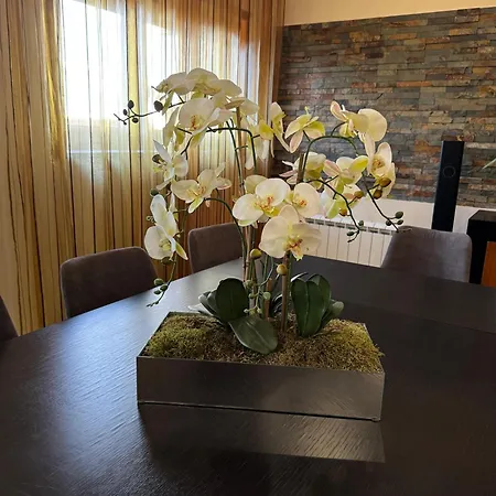 Casa Serra Dos Picos - Casa De Ferias, * Braga