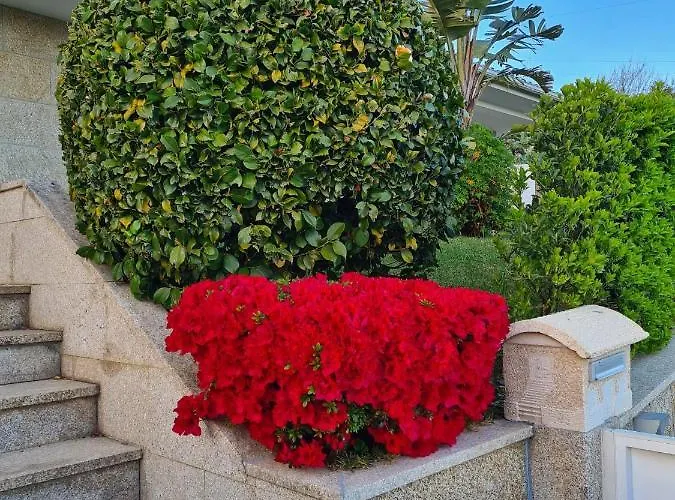 Ferienhaus Casa Serra Dos Picos - Casa De Ferias, Braga