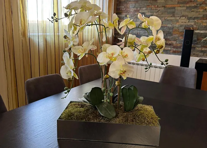 Casa Serra Dos Picos - Casa De Ferias, * Braga